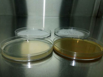 certificación en buenas prácticas de laboratorio