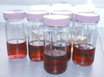 certificación en buenas prácticas de laboratorio